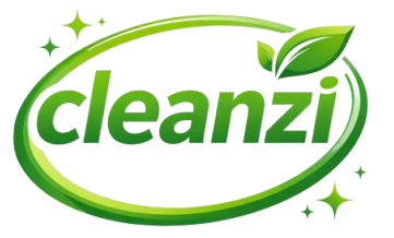 cleanzi.in